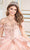 Princesa by Ariana Vara PR30171 - Sweetheart Quinceañera Ball Gown Quinceanera Dresses