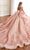 Princesa by Ariana Vara PR30171 - Sweetheart Quinceañera Ball Gown Quinceanera Dresses