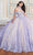 Princesa by Ariana Vara PR30172 - 3D Floral Embellished Ball Gown Quinceanera Dresses 00 / Lavender/Champagne