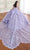 Princesa by Ariana Vara PR30172 - 3D Floral Embellished Ball Gown Quinceanera Dresses