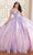 Princesa by Ariana Vara PR30174 - Glitter Tulle With Floral Ballgown Quinceanera Dresses 00 / Lavender/Rose