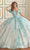 Princesa by Ariana Vara PR30174 - Glitter Tulle With Floral Ballgown Quinceanera Dresses 00 / Seamiest