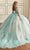 Princesa by Ariana Vara PR30174 - Glitter Tulle With Floral Ballgown Quinceanera Dresses