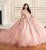 Princesa by Ariana Vara PR30175 - Off-Shoulder Glitter Tulle Ball Gown Quinceanera Dresses 00 / Garden Rose