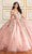 Princesa by Ariana Vara PR30175 - Off-Shoulder Glitter Tulle Ball Gown Quinceanera Dresses