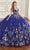 Princesa by Ariana Vara PR30176 - Sweetheart Quinceañera Ball Gown Quinceanera Dresses 00 / Royal Amethyst/Gold