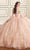 Princesa by Ariana Vara PR30177 - Sweetheart Beaded Ballgown Quinceanera Dresses 00 / Rose Gold