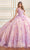 Princesa by Ariana Vara PR30179 - 3D Floral Embellished Ball Gown Quinceanera Dresses 00 / Blushing Lilac