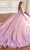 Princesa by Ariana Vara PR30179 - 3D Floral Embellished Ball Gown Quinceanera Dresses