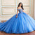 Princesa by Ariana Vara PR30180 - Lace Applique Sweetheart Ball Gown Quinceanera Dresses