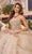 Princesa by Ariana Vara PR30196 - Beaded Appliqued Sweetheart Ballgown Special Occasion Dress