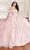 Princesa by Ariana Vara PR70102 - Embellished Off-Shoulder Ball Gown Quinceanera Dresses 00 / Blush