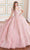 Princesa by Ariana Vara PR70103 - Short Sleeve Beaded Ball Gown Quinceanera Dresses