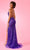 Rachel Allan 70623 - Sleeveless Illusion Panel Prom Gown Prom Dresses