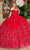 Rachel Allan Bridal RQ1141 - Floral Appliqued Off Shoulder Ballgown Special Occasion Dress