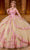 Rachel Allan Bridal RQ2196 - Floral Strapless Layered Ballgown Special Occasion Dress 0 / Pink Champagne