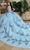 Rachel Allan Bridal RQ2205 - Beaded Fringes Cap Sleeve Ballgown Special Occasion Dress