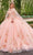 Rachel Allan Bridal RQ3132 - Floral Appliqued Sleeveless Ballgown Special Occasion Dress 0 / Blush Multi