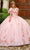 Rachel Allan Bridal RQ3132 - Floral Appliqued Sleeveless Ballgown Special Occasion Dress