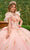 Rachel Allan Bridal RQ3132 - Floral Appliqued Sleeveless Ballgown Special Occasion Dress