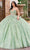 Rachel Allan Bridal RQ3135 - Plunging V-Neck Embellished Ballgown Special Occasion Dress 0 / Sage