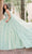 Rachel Allan Bridal RQ3135 - Plunging V-Neck Embellished Ballgown Special Occasion Dress