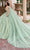 Rachel Allan Bridal RQ3135 - Plunging V-Neck Embellished Ballgown Special Occasion Dress