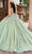 Rachel Allan Bridal RQ3135 - Plunging V-Neck Embellished Ballgown Special Occasion Dress