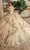 Rachel Allan Bridal RQ3137 - Floral Appliqued Off Shoulder Ballgown Special Occasion Dress