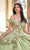 Rachel Allan Bridal RQ3137 - Floral Appliqued Off Shoulder Ballgown Special Occasion Dress