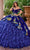 Rachel Allan Bridal RQ5005 - Strapless Ruffled Skirt Ballgown Special Occasion Dress 0 / Royal Multi