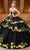 Rachel Allan Bridal RQ5006 - Floral Strapless Layered Ballgown Special Occasion Dress 0 / Black Yellow