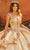 Rachel Allan MQ3093 - Bow Back Quinceanera Ballgown Special Occasion Dress