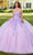 Rachel Allan RQ1113 - Floral Appliqued Sweetheart Ballgown Ball Gowns 0 / Lilac