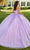 Rachel Allan RQ1113 - Floral Appliqued Sweetheart Ballgown Ball Gowns