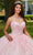 Rachel Allan RQ1113 - Floral Appliqued Sweetheart Ballgown Ball Gowns