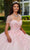 Rachel Allan RQ1113 - Floral Appliqued Sweetheart Ballgown Ball Gowns