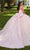 Rachel Allan RQ1113 - Floral Appliqued Sweetheart Ballgown Ball Gowns