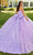 Rachel Allan RQ1113 - Floral Appliqued Sweetheart Ballgown Ball Gowns