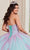 Rachel Allan RQ1120 - Strapless Corset Bodice Ballgown Ball Gowns