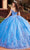 Rachel Allan RQ1121 - Floral Embroidered Sweetheart Ballgown Ball Gowns