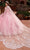 Rachel Allan RQ1121 - Floral Embroidered Sweetheart Ballgown Ball Gowns