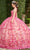 Rachel Allan RQ1123 - Scoop Floral Lace Ballgown Ball Gowns