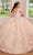 Rachel Allan RQ1125 - Cold Shoulder Floral Ballgown Ball Gowns