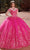 Rachel Allan RQ1126 - Applique Quinceanera Ballgown Special Occasion Dress 0 / Fuchsia