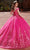 Rachel Allan RQ1126 - Applique Quinceanera Ballgown Special Occasion Dress