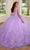 Rachel Allan RQ1126 - Applique Quinceanera Ballgown Special Occasion Dress