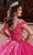 Rachel Allan RQ1126 - Applique Quinceanera Ballgown Special Occasion Dress