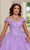 Rachel Allan RQ1126 - Applique Quinceanera Ballgown Special Occasion Dress