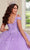 Rachel Allan RQ1126 - Applique Quinceanera Ballgown Special Occasion Dress